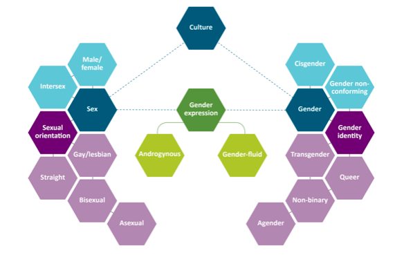 Sexual Orientation And Gender Identity (SOGI) Terms In Healthcare: Sex ...